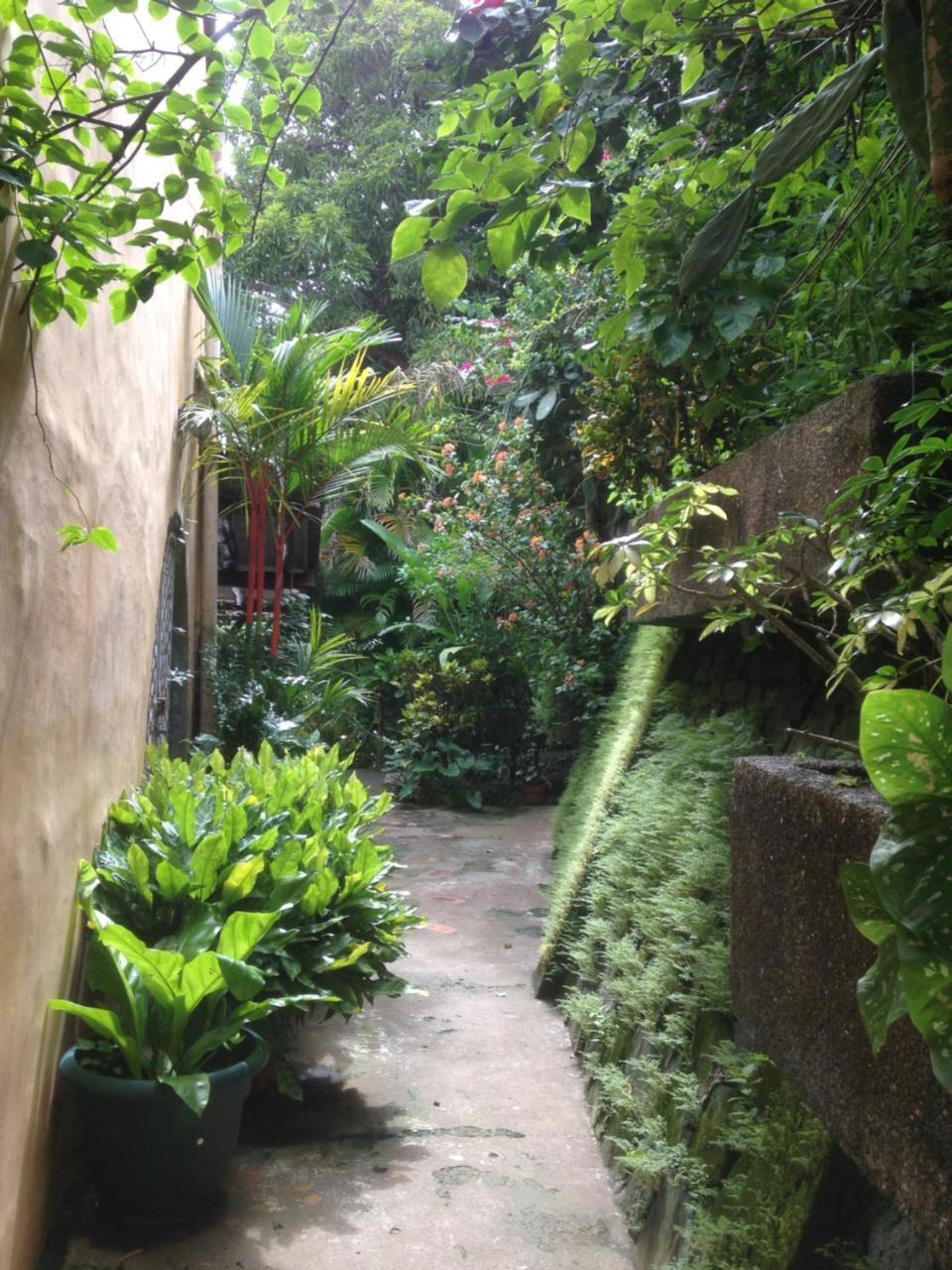 芒果住宿加早餐别墅酒店 诺萨拉 外观 照片